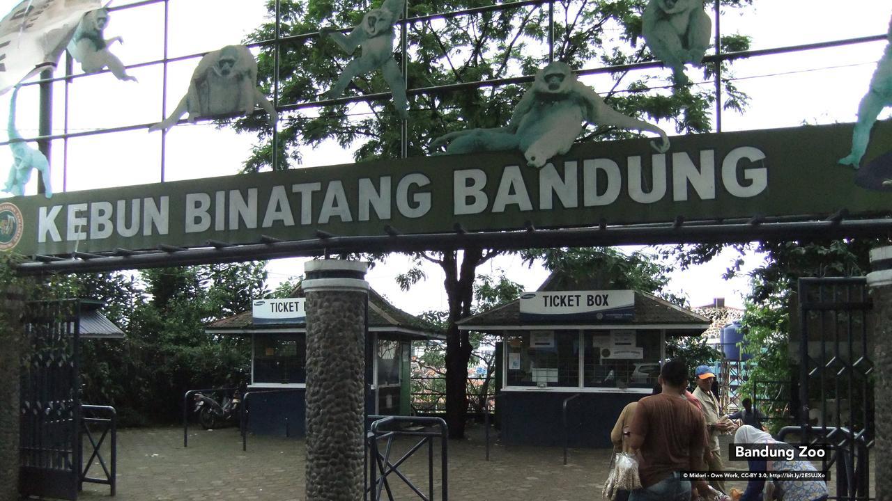 Zen Rooms Bukit Tunggul Bandung Exterior foto